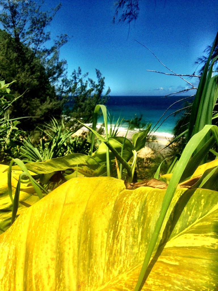 Kauai_14963695886_l.jpg