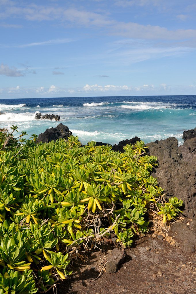 big_island_07_13-785_9288527439_l.jpg