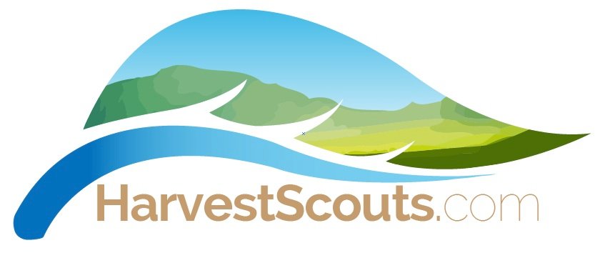 harvest_scouts.jpg