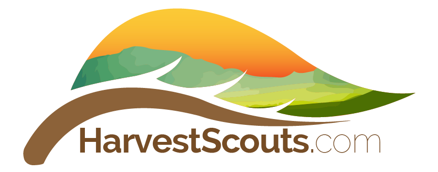 harvest_scouts_2.png